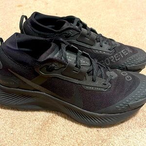 Nike Pegasus Trail 3 GTX Gore Tex